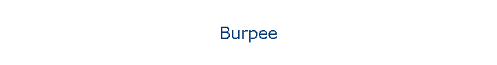 Burpee